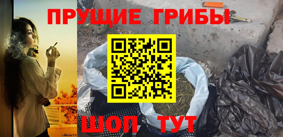 Псилоцибиновые грибы мицелий Верхняя Салда